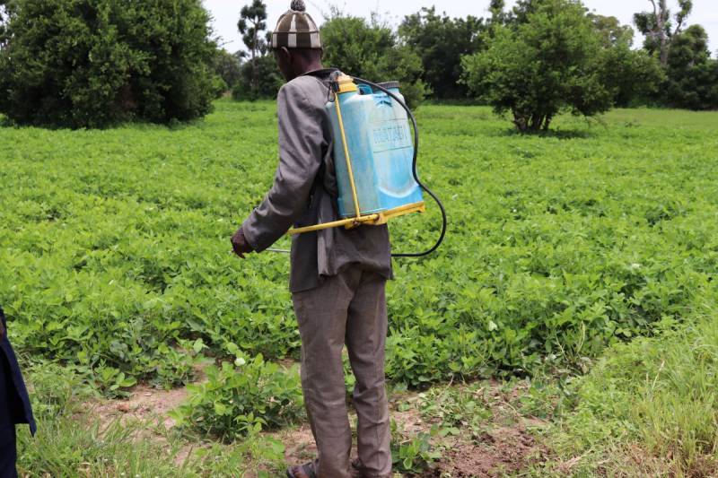 Un producteur pulvérise son champ avec un biopesticide, promouvant des pratiques de lutte contre les ravageurs plus sûres et plus durables.