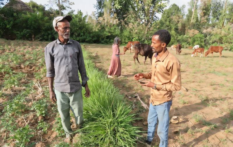 An extension agent talking with a farmer with a smartphone in hand