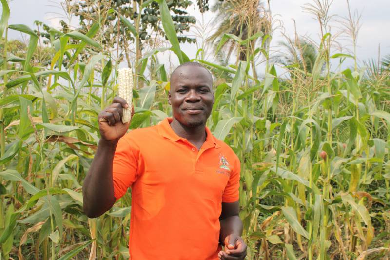 Bonny holding a maize cob grown using RA techniques taught by SAA
