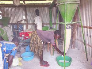A Youth of St. Daniel Comboni Group busy milling cassava