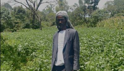 Farmer Sheh A_Gali in his soybean farm at green stage