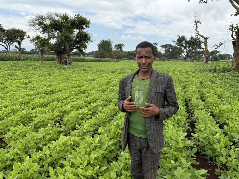 Mr. Dejene stands and shows his soybean farm.