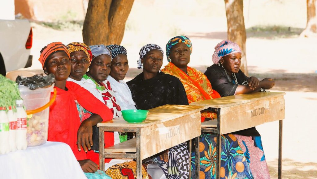 A cross-section of the Daban Fulani Women MPCs during a visit by SAA to the community.