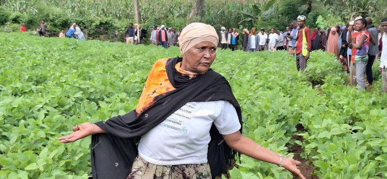 Ms. Meryema shares her experience in soybean production during a field day.