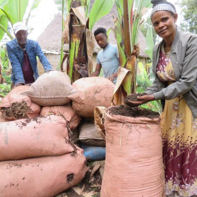 Belaynesh Tesfaye with her family and EAs visiting produced compost in her backyard Angacha district