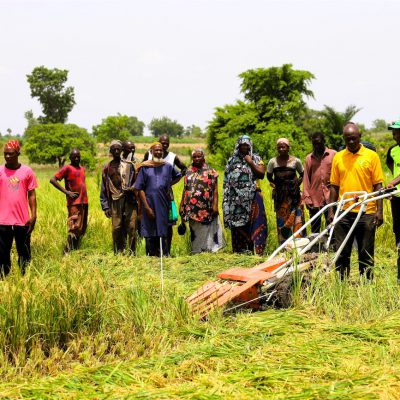Demonstration of a Rice Reaper during the field days in Lafia