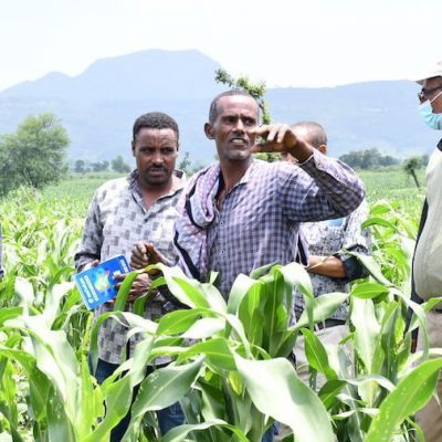 Joint monitoring field visit at CDP host farmer's demo in Kewet district