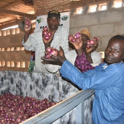 New technology helps farmers improve onion shelf life