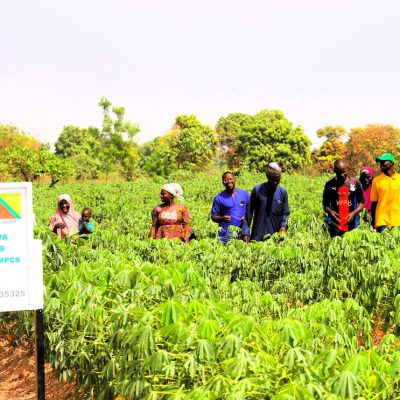 Routine field supervision to Egyibi Farmers MPCS Obi LGA, Nasarawa State.