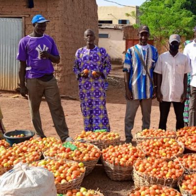 SAA’s SHEP training sets Malian farmers on a journey to prosperity