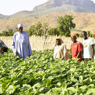 Smallholder farmer Horticulture Empowerment Program